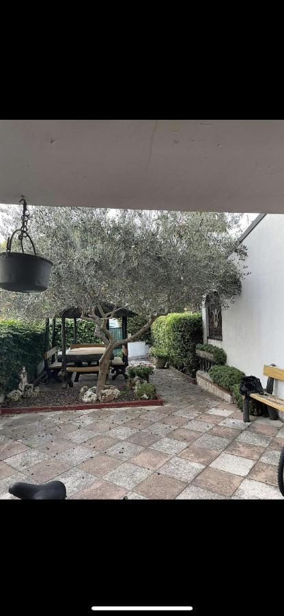 Villa Da Laura à Lido Adriano Extérieur photo
